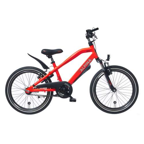ALPINA Trial JONGENS 31cm 2024