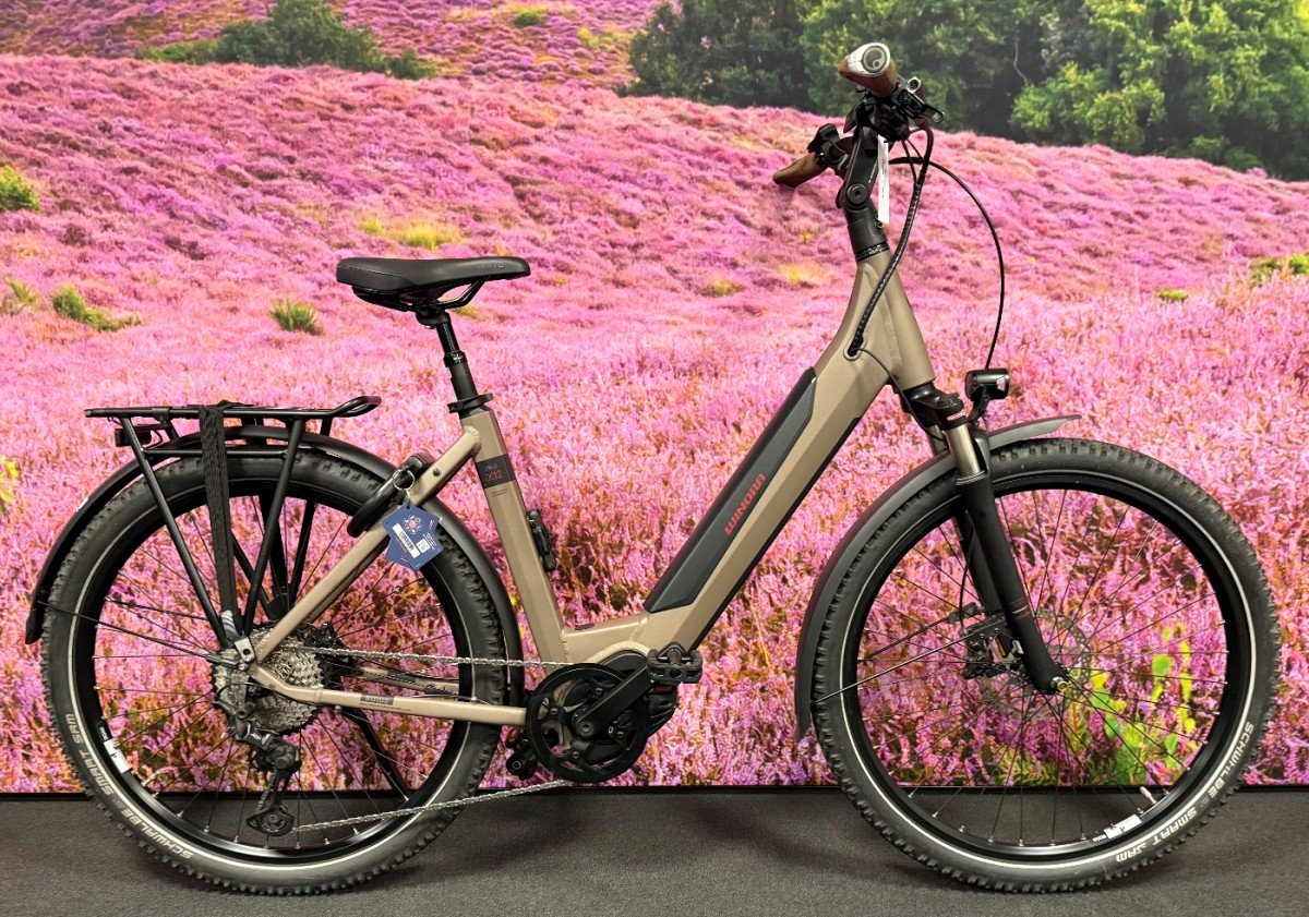 Winora Sinus iX12 Dames antraciet 50cm 2021