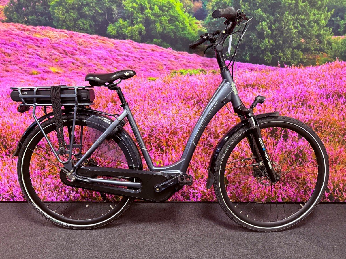 BSP Hermitage Dames Platina Grijs Glans 51cm 2023