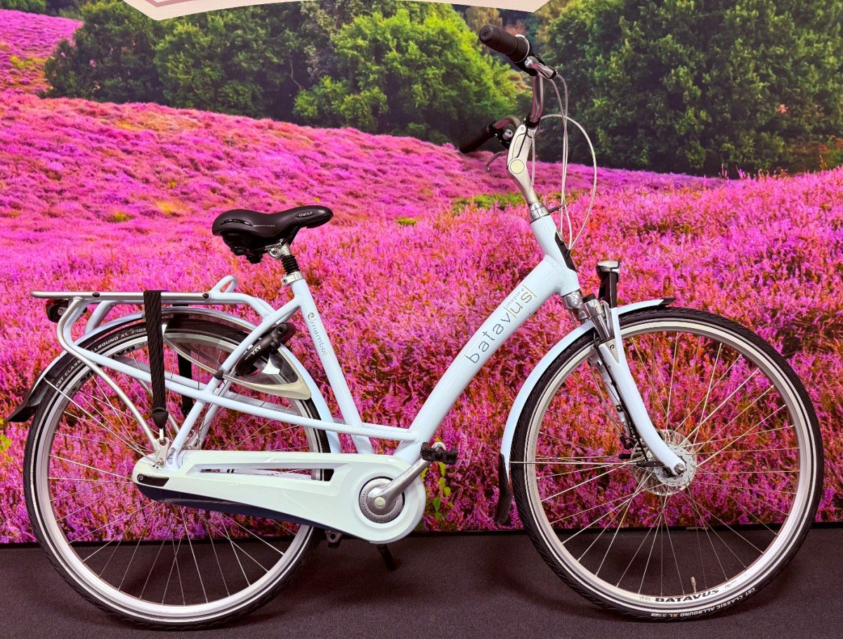 Batavus mambo Dames licht blauw 53cm 2020