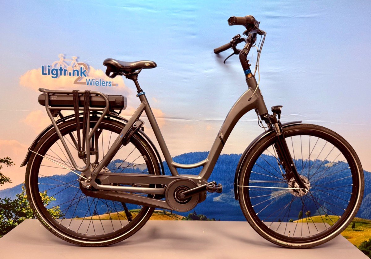 BSP ebike Dames Antraciet 53cm 2020
