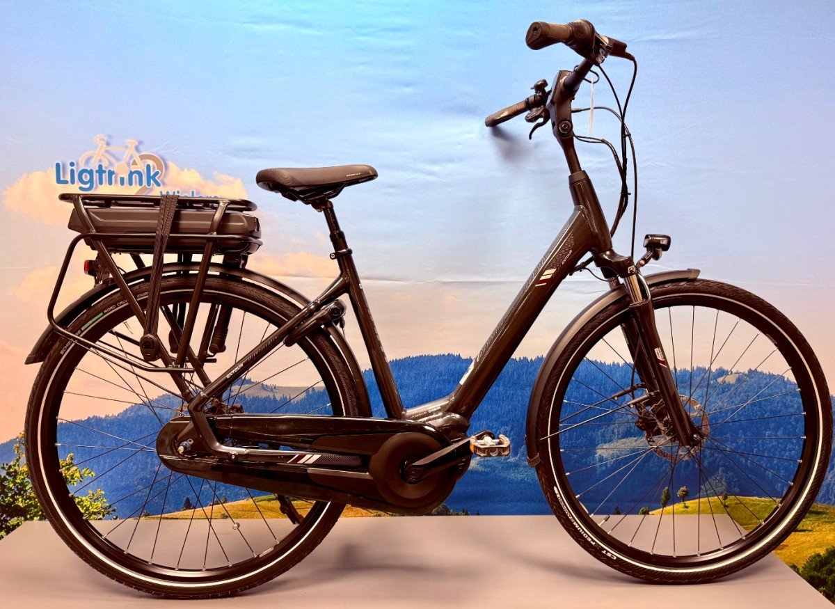 Giant Easy E+ Dames Antraciet 49cm 2022