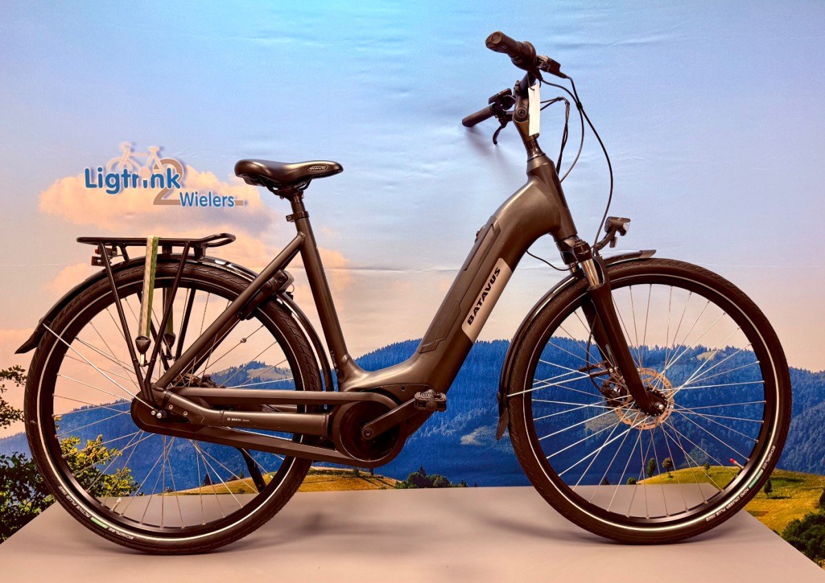 Batavus Finez Dames mat zwart 57cm 2024